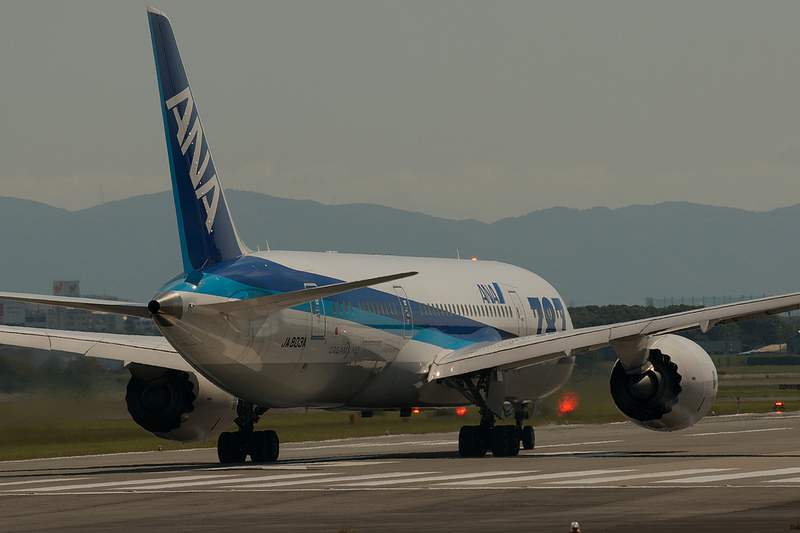 All Nippon Airways JA803A(Boeing 787-881 Dreamliner)