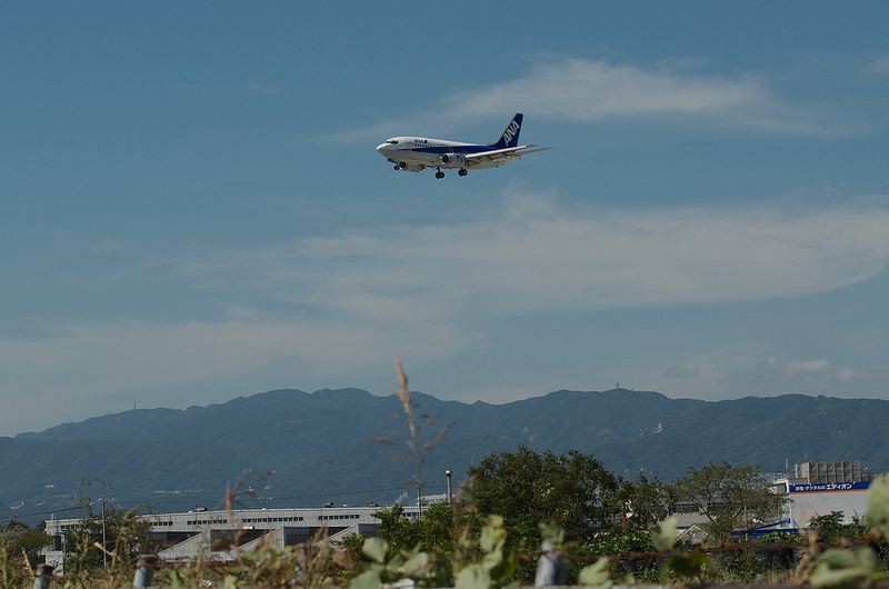 ANA Wings JA8419(Boeing 737-54K)