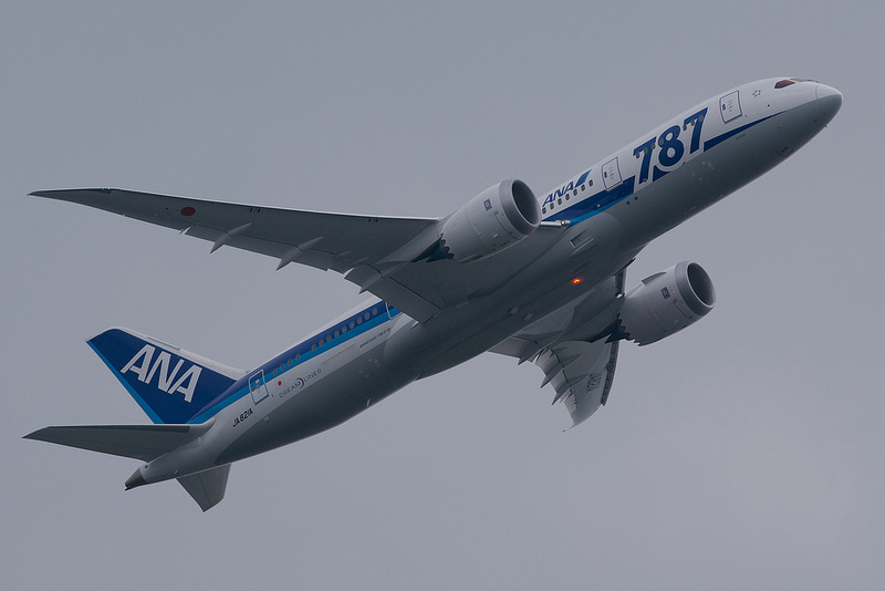 All Nippon Airways JA821A(Boeing 787-881 Dreamliner)