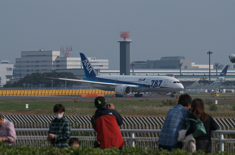 All Nippon Airways JA805A(Boeing 787-881 Dreamliner)