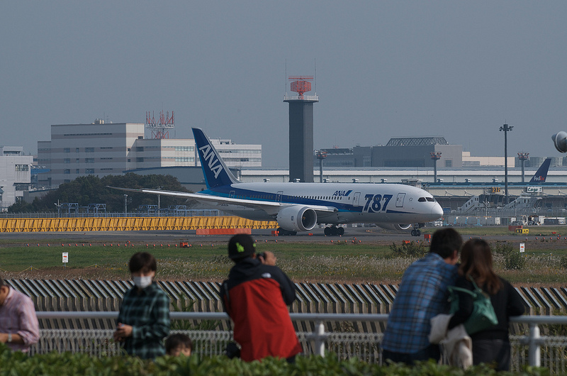 All Nippon Airways JA805A(Boeing 787-881 Dreamliner)