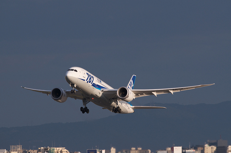 All Nippon Airways JA821A(Boeing 787-881 Dreamliner)