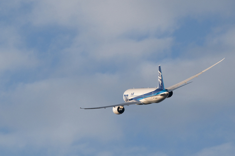 All Nippon Airways JA821A(Boeing 787-881 Dreamliner)