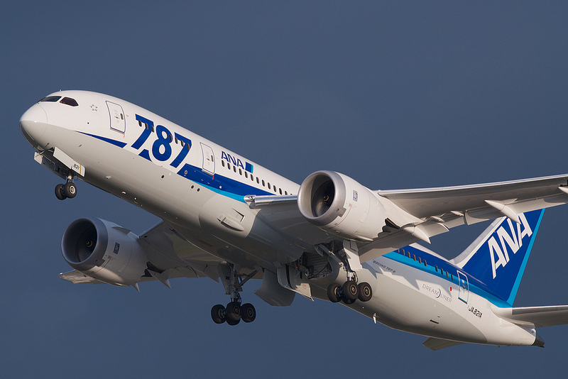 All Nippon Airways JA821A(Boeing 787-881 Dreamliner)