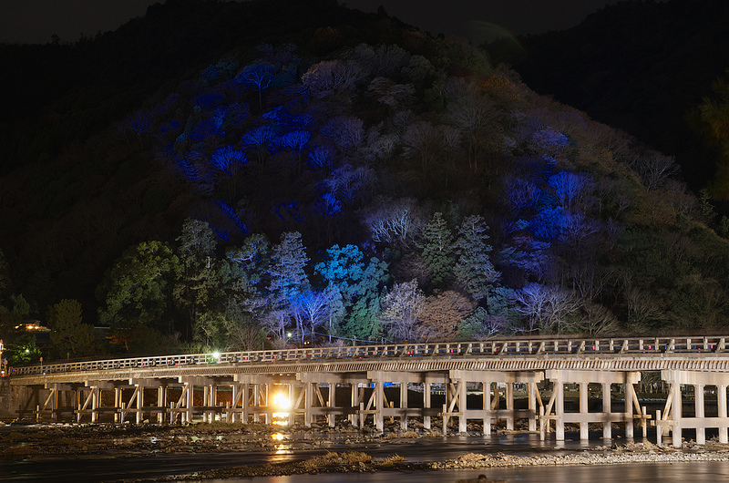 嵐山#3（嵐山花灯路2013）