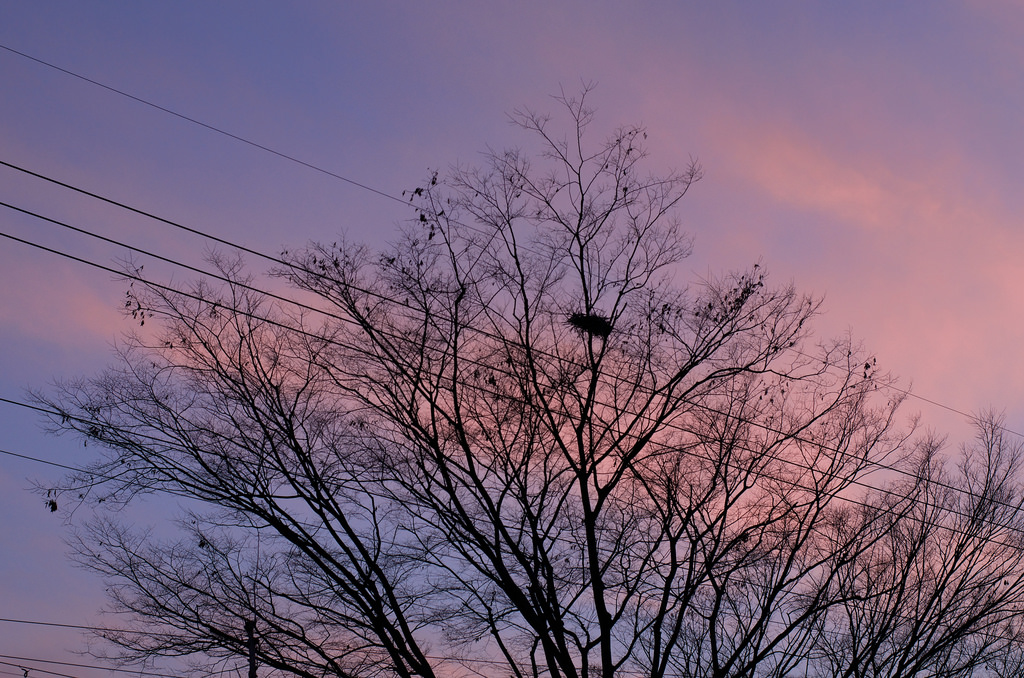 夕焼け