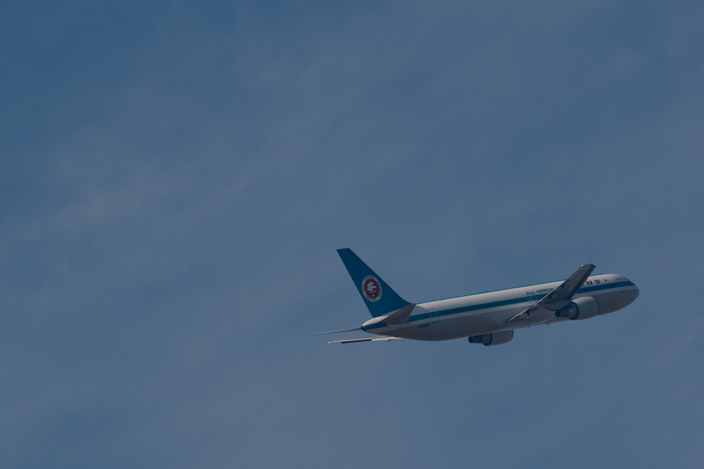 All Nippon Airways JA602A(Boeing 767-300)