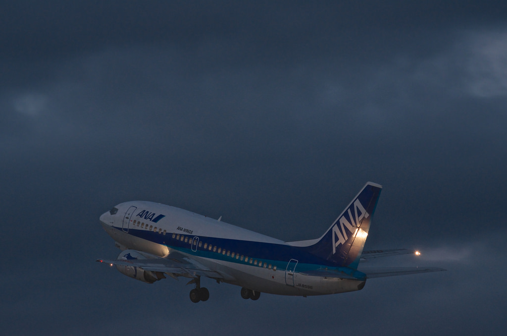 ANA Wings JA8596(Boeing 737-54K)