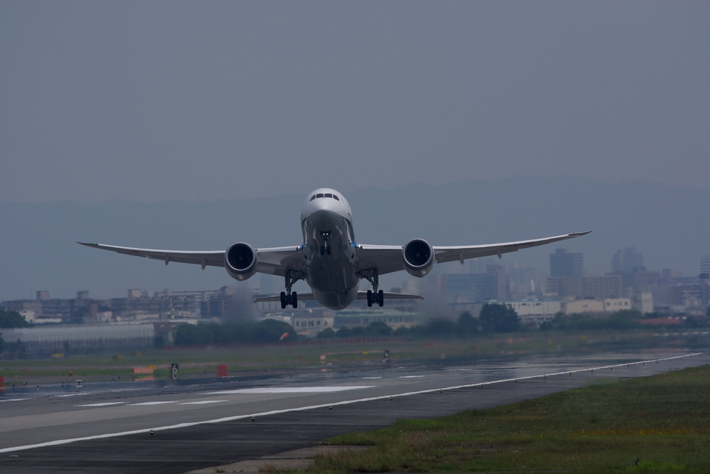 All Nippon Airways JA825A(Boeing 787-881)