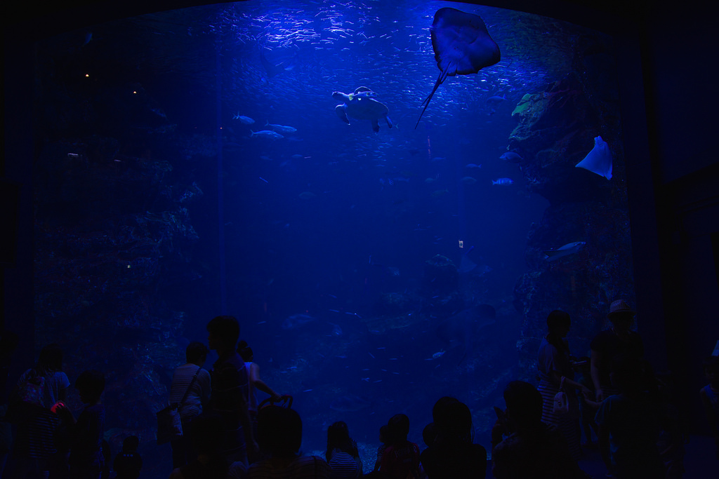 Kyoto Aquarium