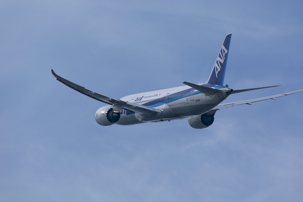 All Nippon Airways JA811A(Boeing 787-8 Dreamliner)