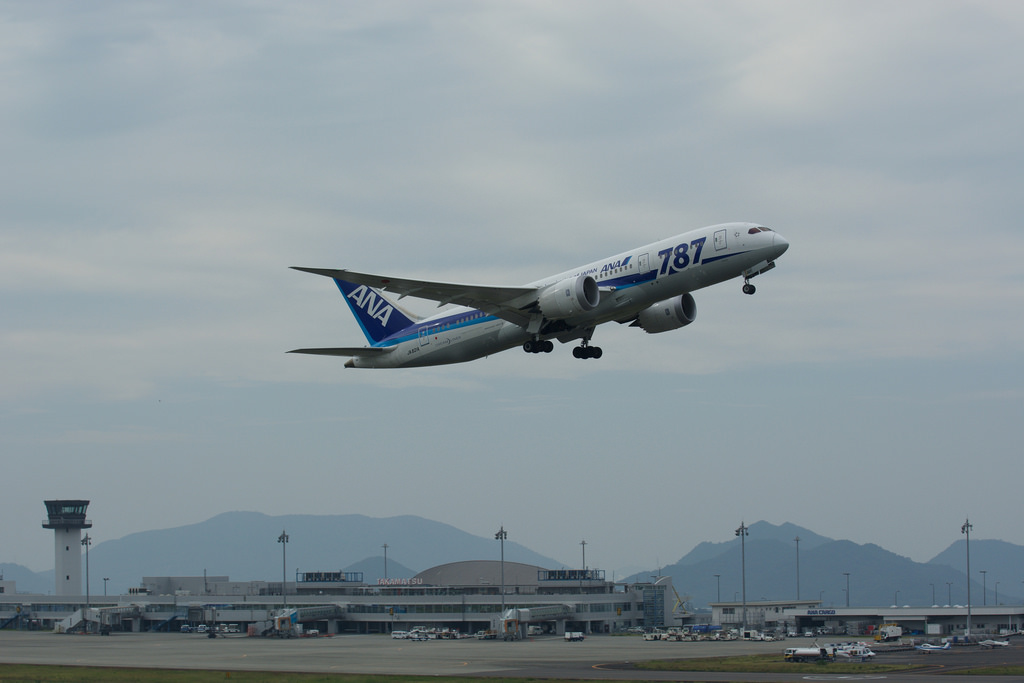 All Nippon Airways JA821A(Boeing 787-881 Dreamliner)