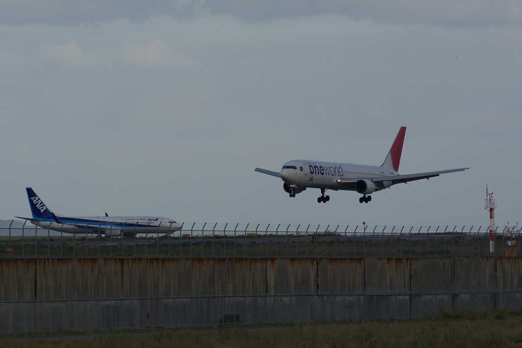 Japan Airlines JA8980(Boeing 767-300)
