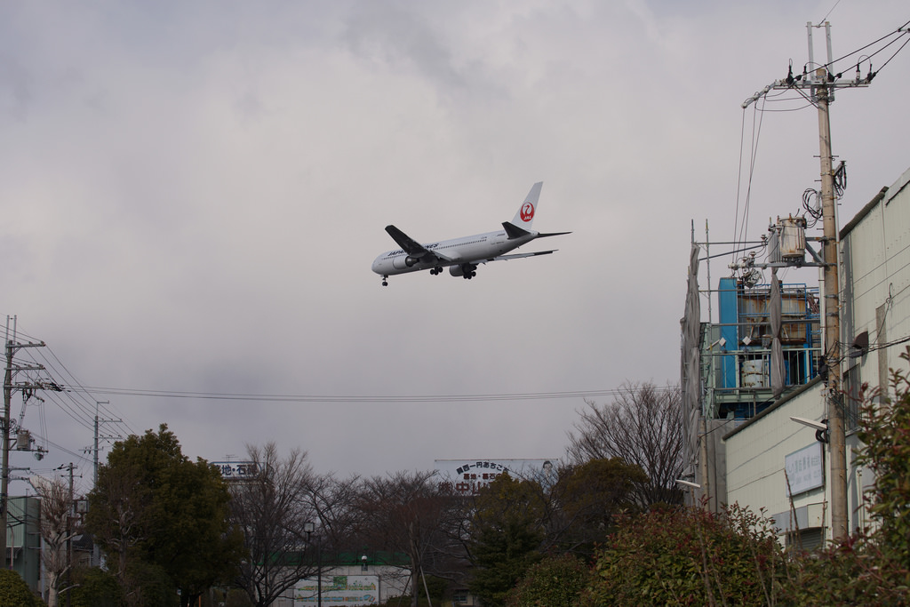 Japan Airlines JA8988(Boeing 767-300)