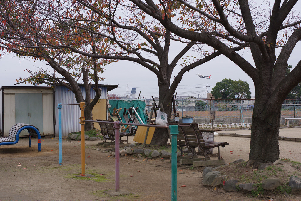 飛行機の見える公園