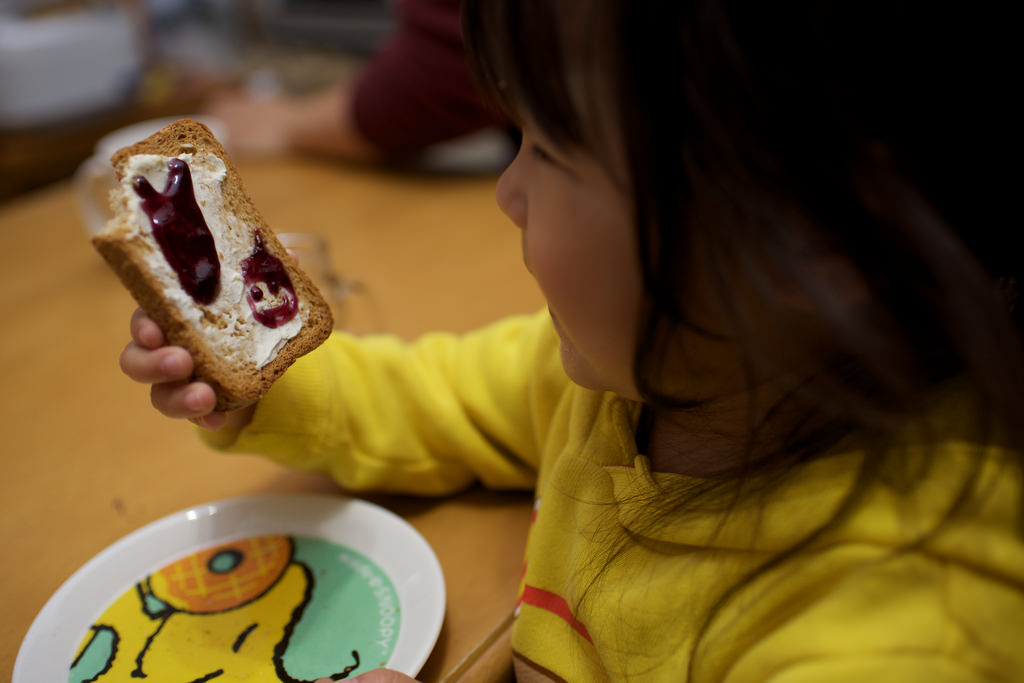 Cream Cheese & Blueberry Jam