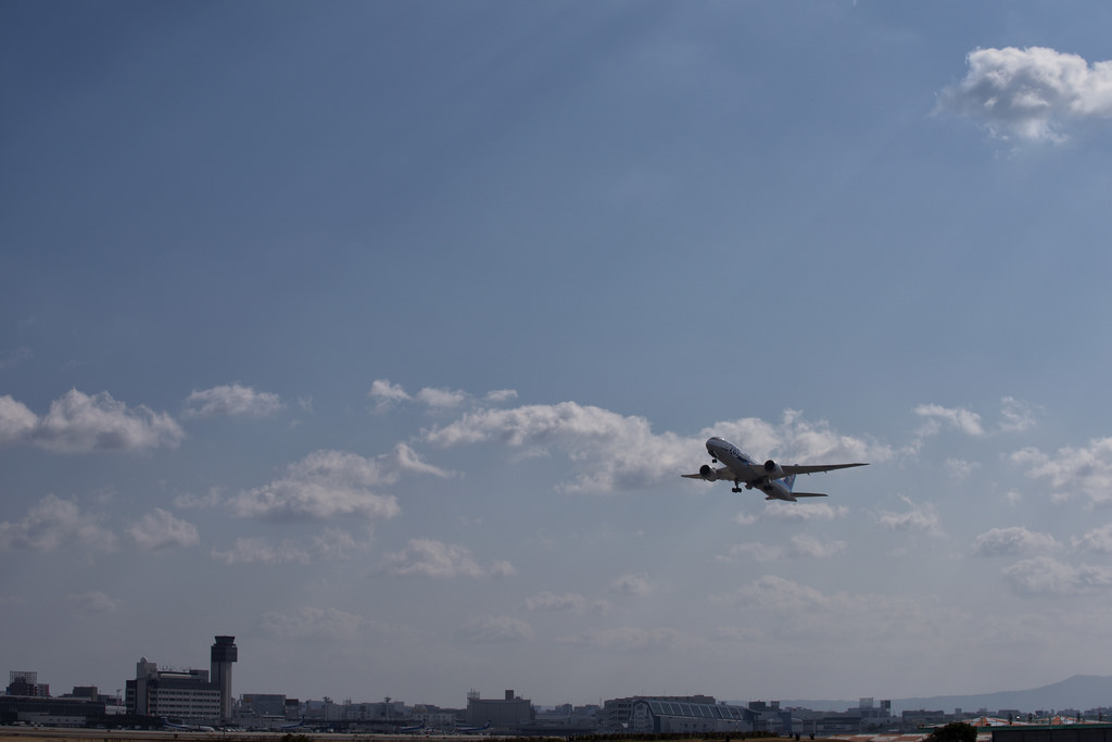 All Nippon Airways JA821A(Boeing 787-881 Dreamliner)