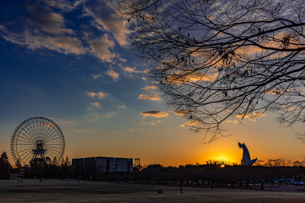 夕暮れの万博公園